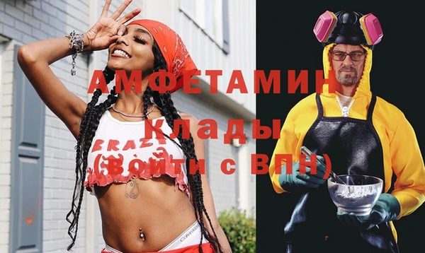 прущие грибы Няндома