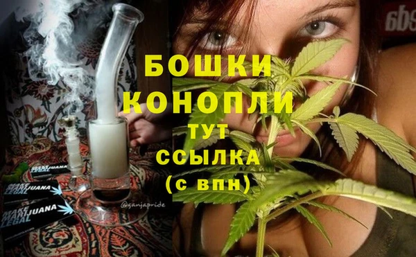 MESCALINE Аркадак