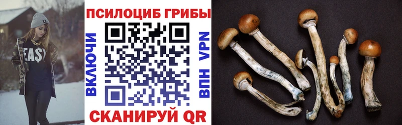 наркота кракен вход Псилоцибиновые грибы Cubensis Урюпинск